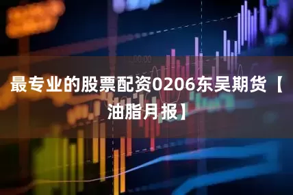 最专业的股票配资0206东吴期货【油脂月报】