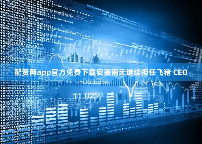 配资网app官方免费下载安装南天继续担任飞猪 CEO