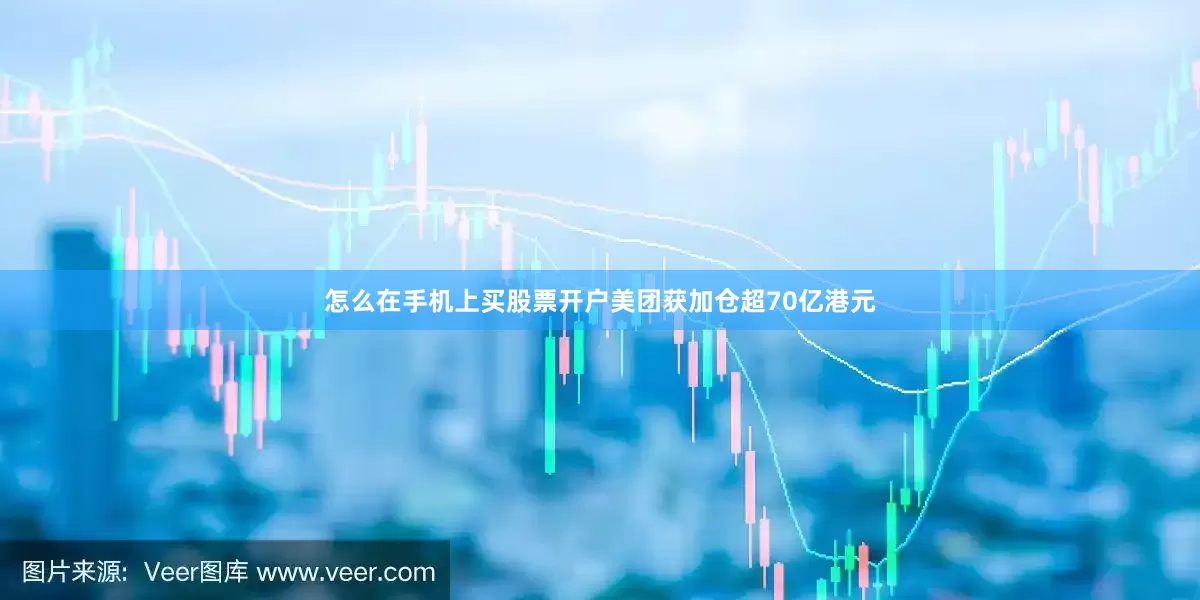 怎么在手机上买股票开户美团获加仓超70亿港元