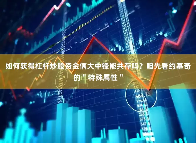 如何获得杠杆炒股资金俩大中锋能共存吗？咱先看约基奇的＂特殊属性＂