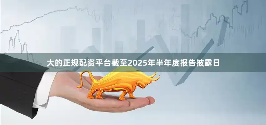 大的正规配资平台截至2025年半年度报告披露日