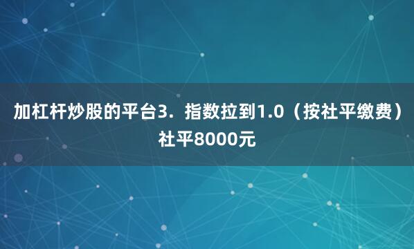 加杠杆炒股的平台3.  指数拉到1.0（按社平缴费）社平8000元