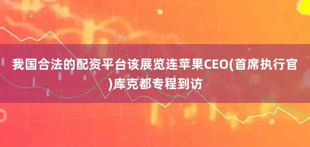 我国合法的配资平台该展览连苹果CEO(首席执行官)库克都专程到访